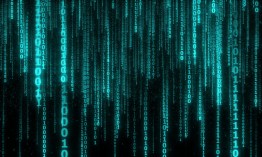 Top 5 Techniques for Effective Linguistic Analysis