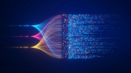 How the Science of DNA Replication Influences Genetic Engineering